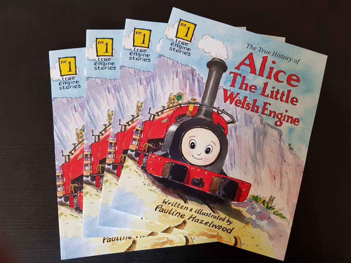 Alice the Little Welsh Engine