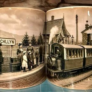 Llanuwchllyn Mug - Vintage